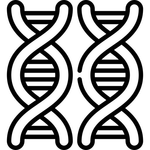 Dna