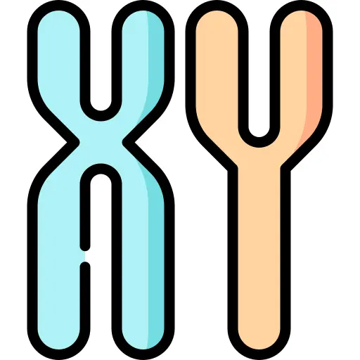 Chromosome
