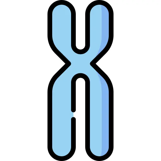 Chromosome