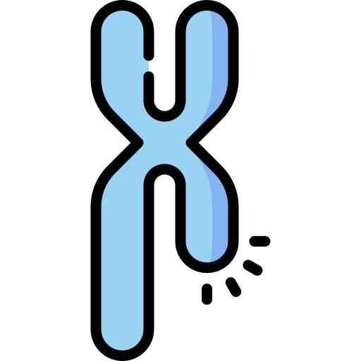 Chromosome