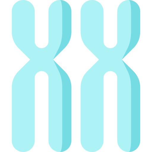 Chromosome