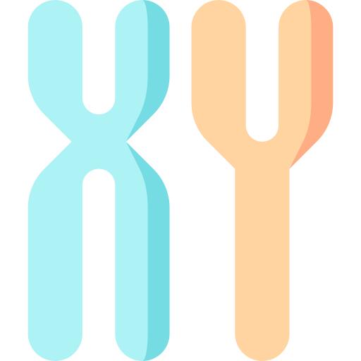 Chromosome