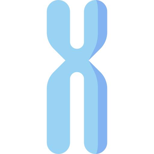 Chromosome
