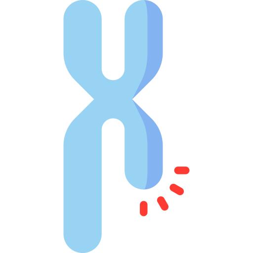 Chromosome