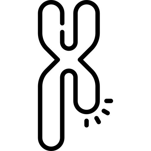 Chromosome