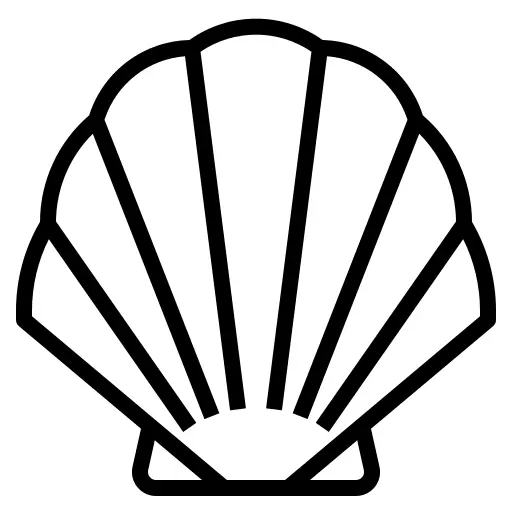 Seashell