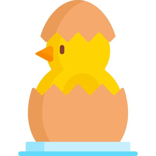 小鸡