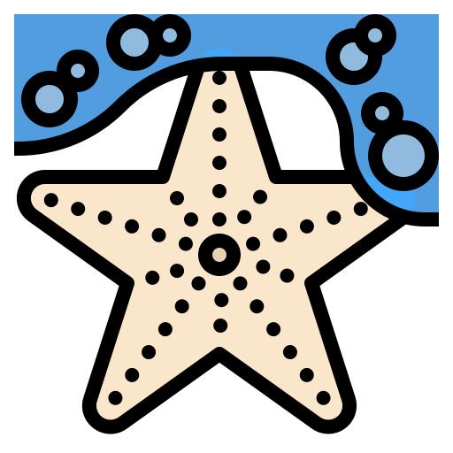 海星