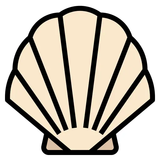 Seashell