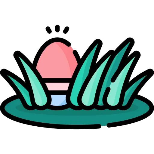 Egg