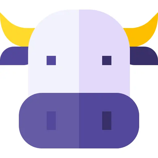 Beef