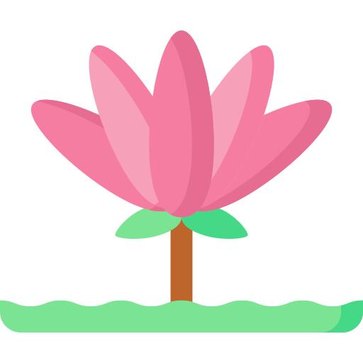 莲花