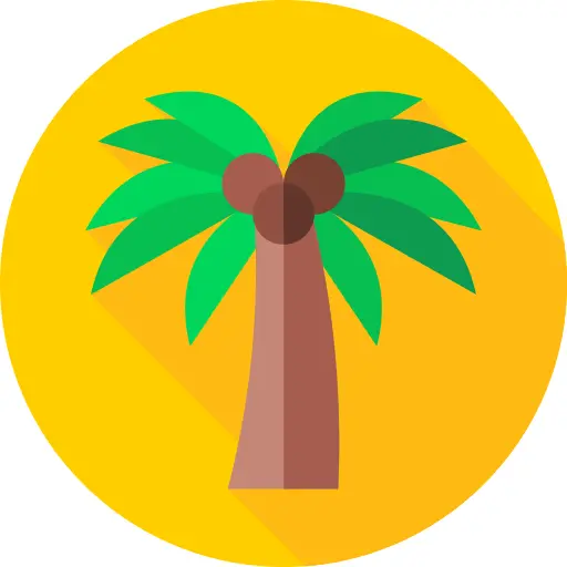 Palm tree