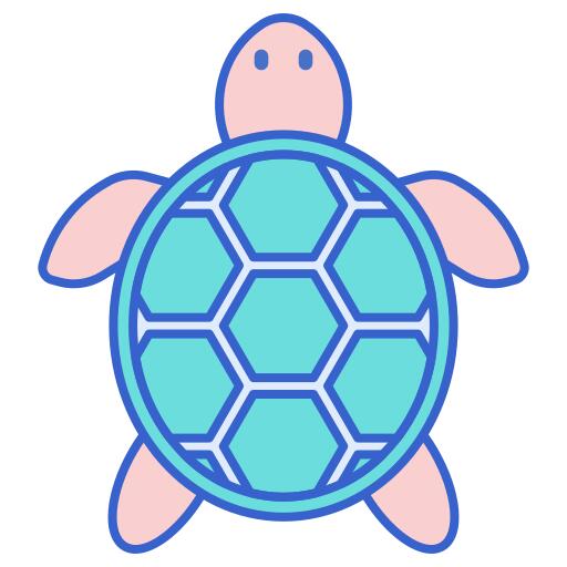 海龟