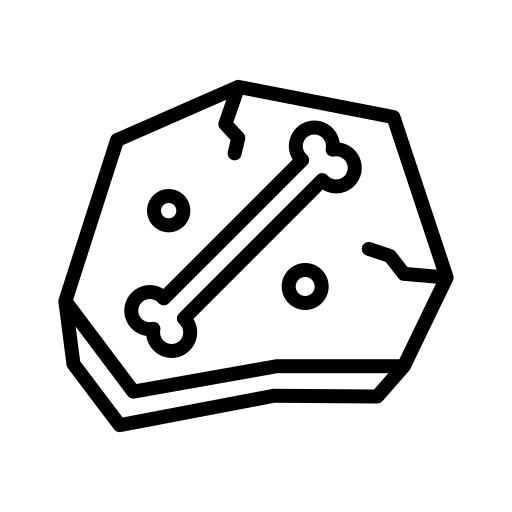 Fossil