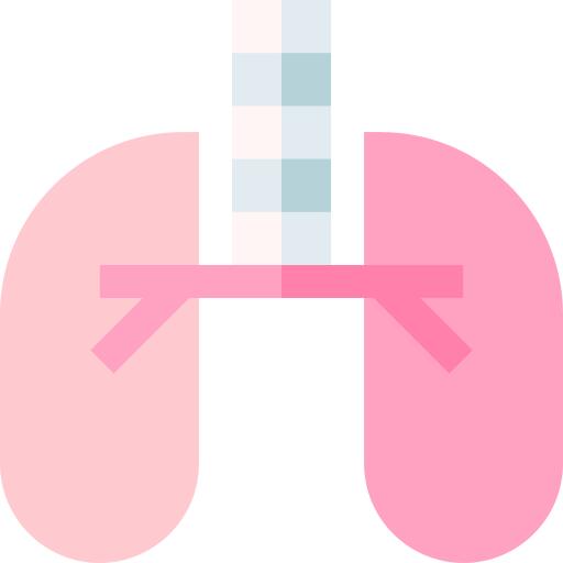 肺