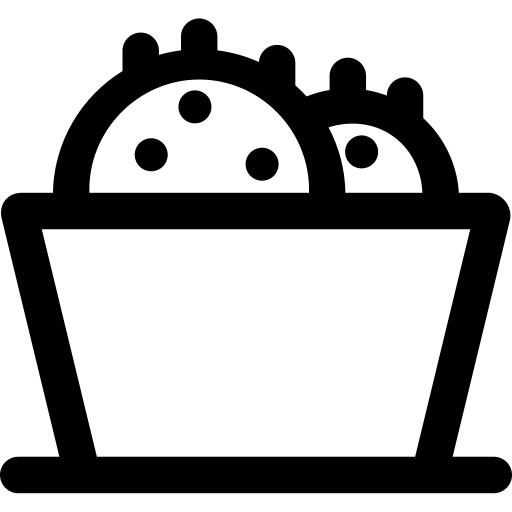 仙人掌