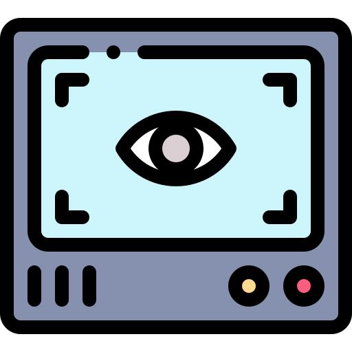 Retina