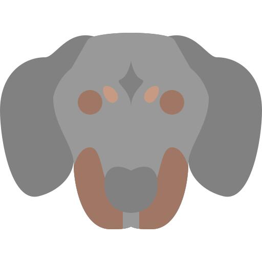 狗