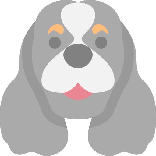 狗