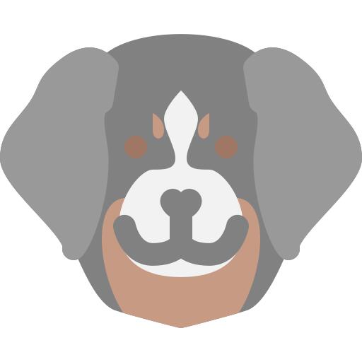 狗