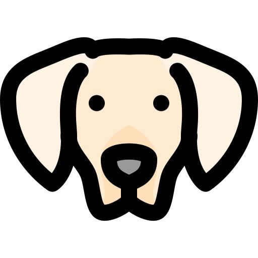 狗