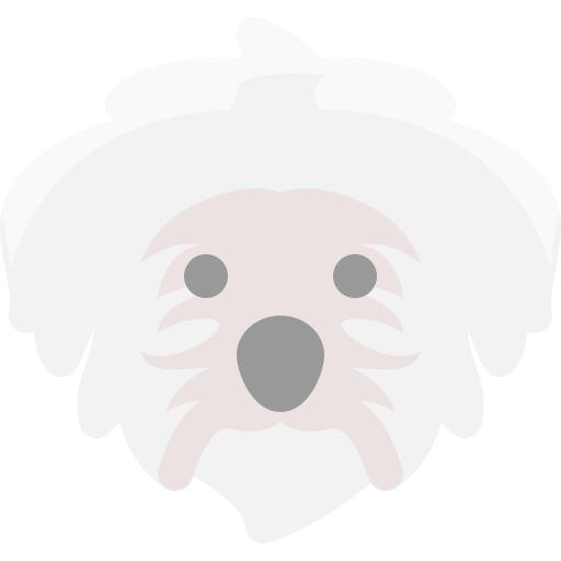狗
