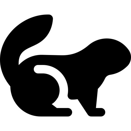 Groundhog