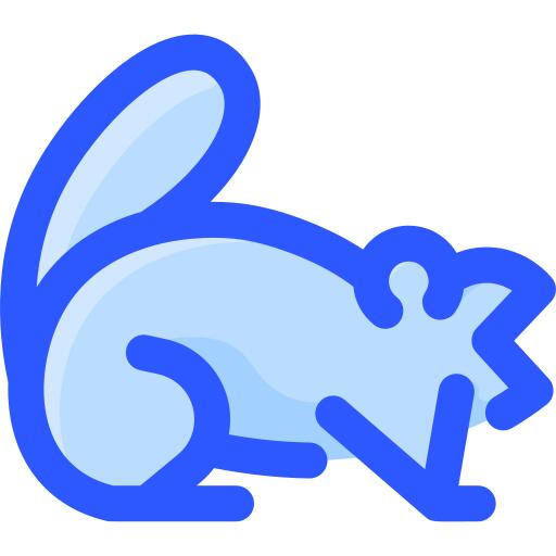 Groundhog