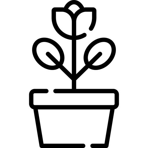 花盆