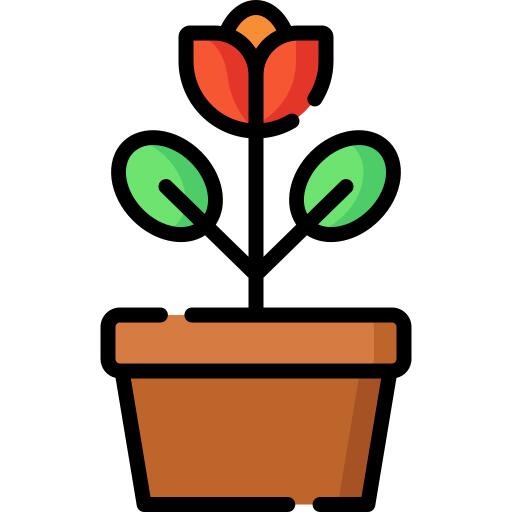 花盆