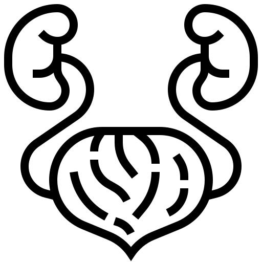 Kidney