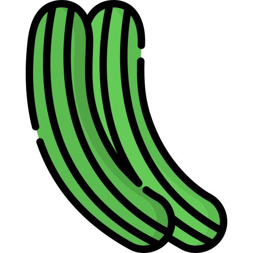 Cucumber