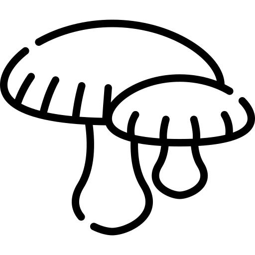 Mushroom