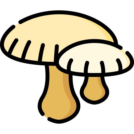 Mushroom