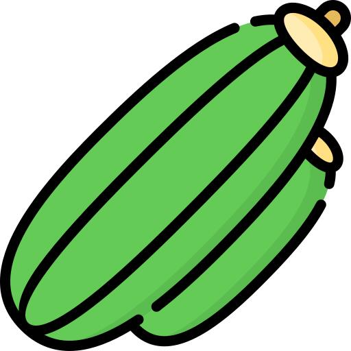 Zucchini