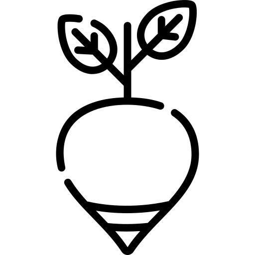 Beetroot