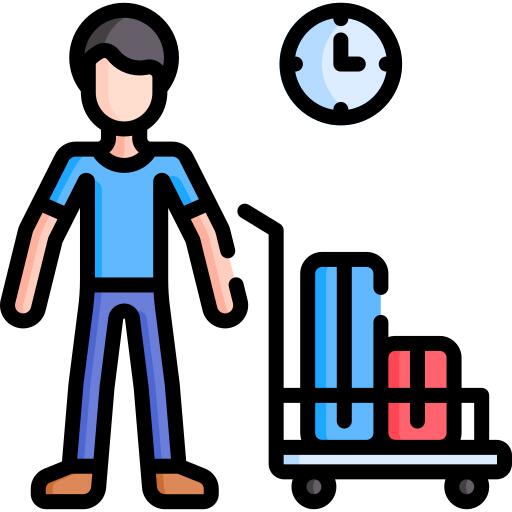 Traveller