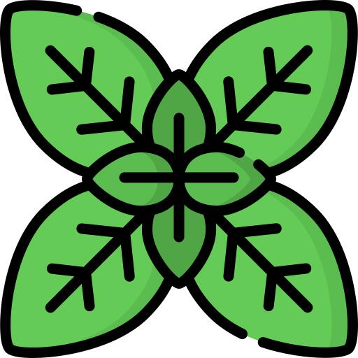 Basil