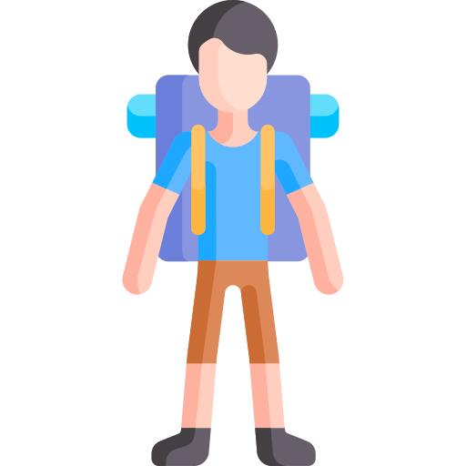 Traveller