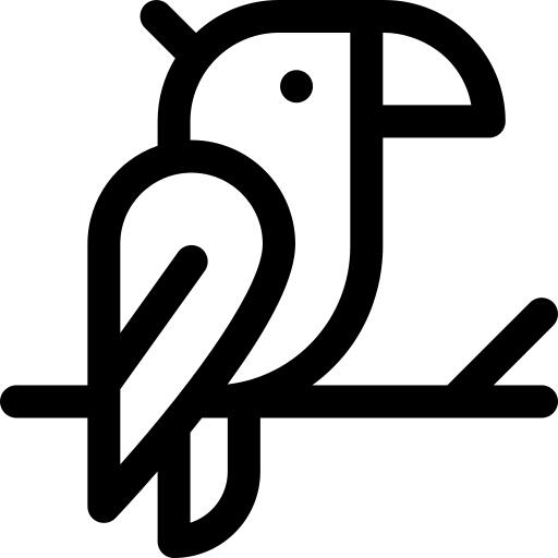 鹦鹉