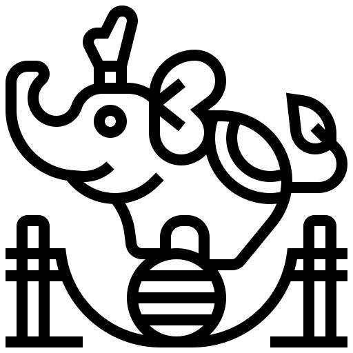 象