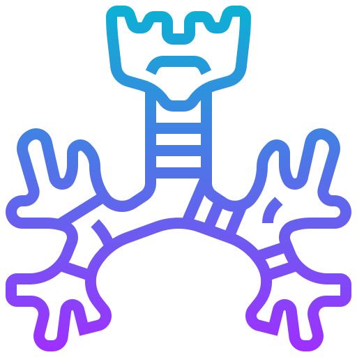 支气管