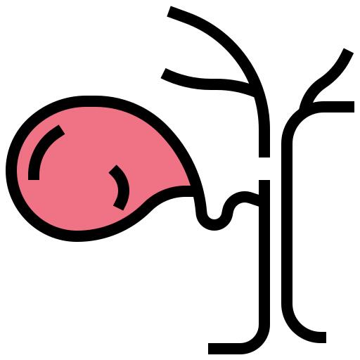 Gallbladder