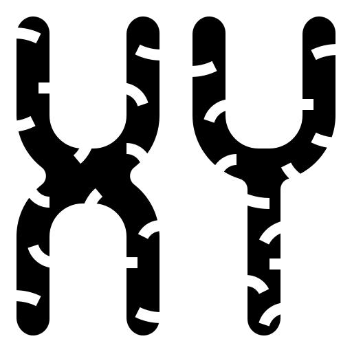 染色体
