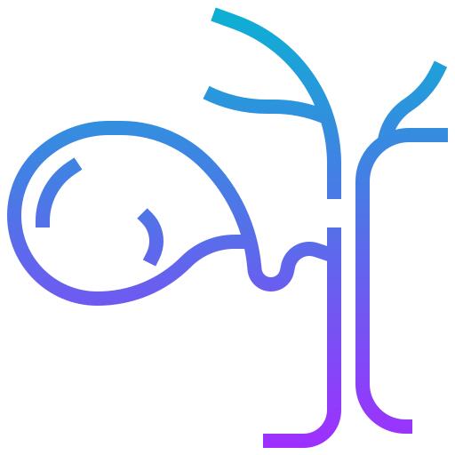 胆囊