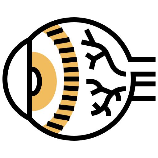 Eye