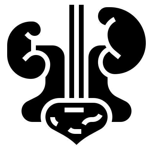 肾