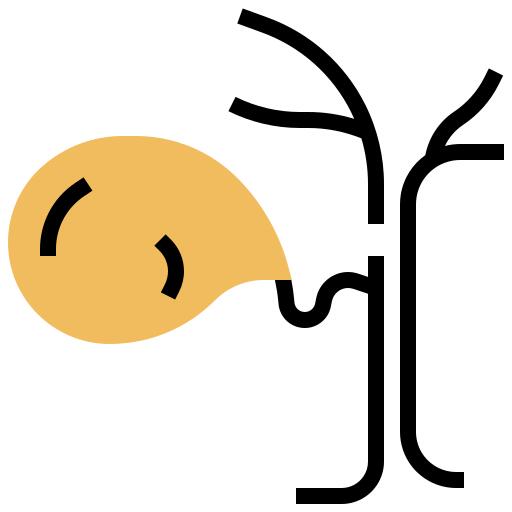 Gallbladder