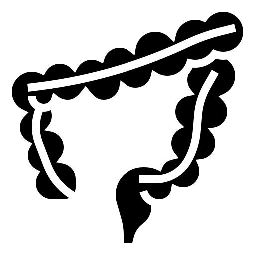 Large intestine